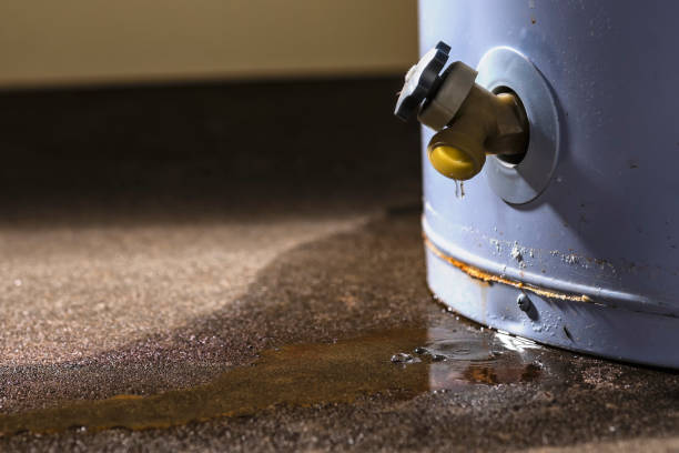 Best Water damage restoration near me  in Reno, OH