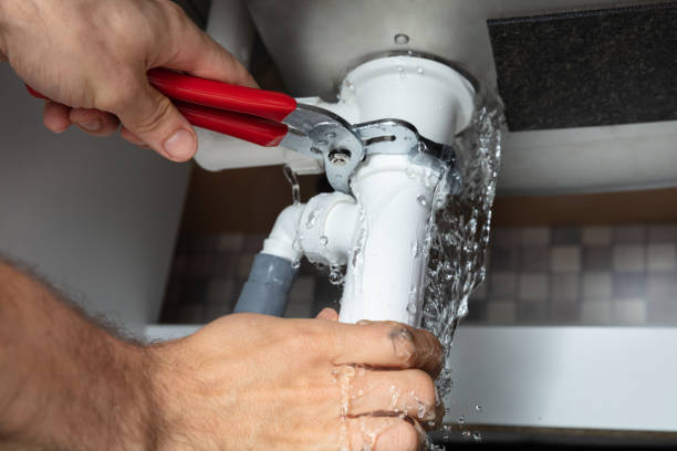 Best Water damage contractors near me  in Reno, OH