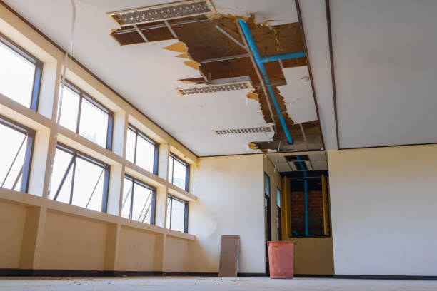 Best Residential water damage restoration  in Reno, OH