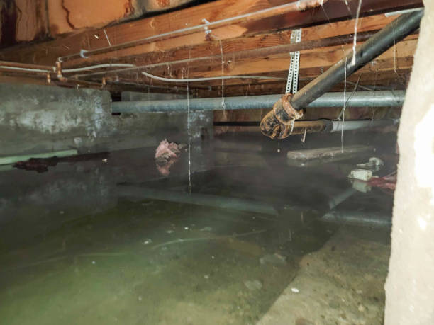 Best Ceiling water damage repair  in Reno, OH