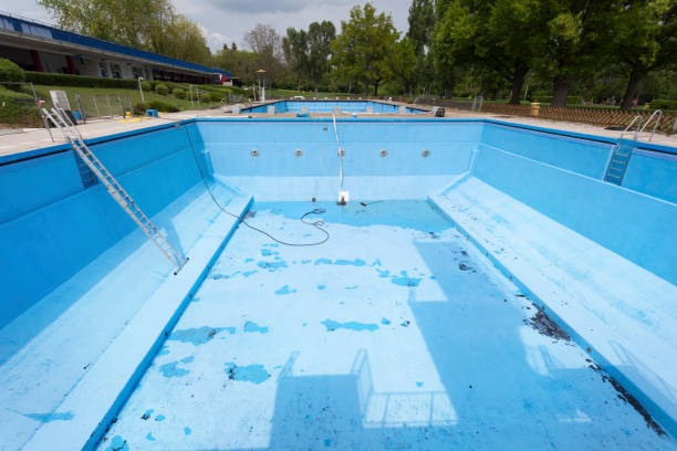 Best Water damage contractors near me  in Reno, OH