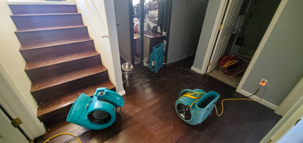 Best Local water damage restoration  in Reno, OH