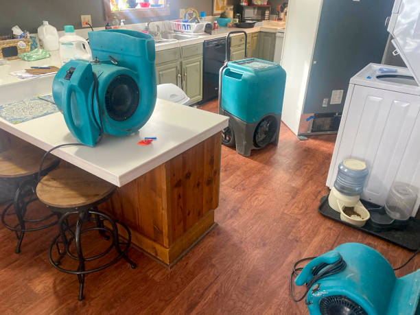 Best Water damage mitigation services  in Reno, OH