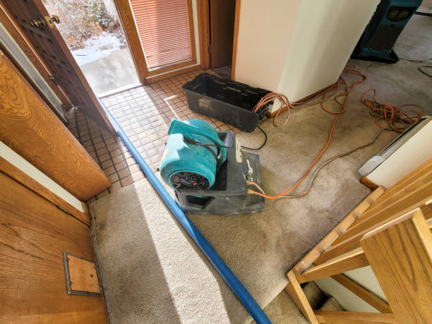 Best Commercial water damage restoration  in Reno, OH