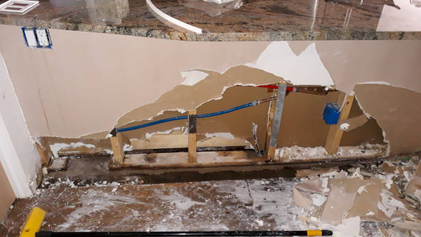 Best Water damage restoration near me  in Reno, OH